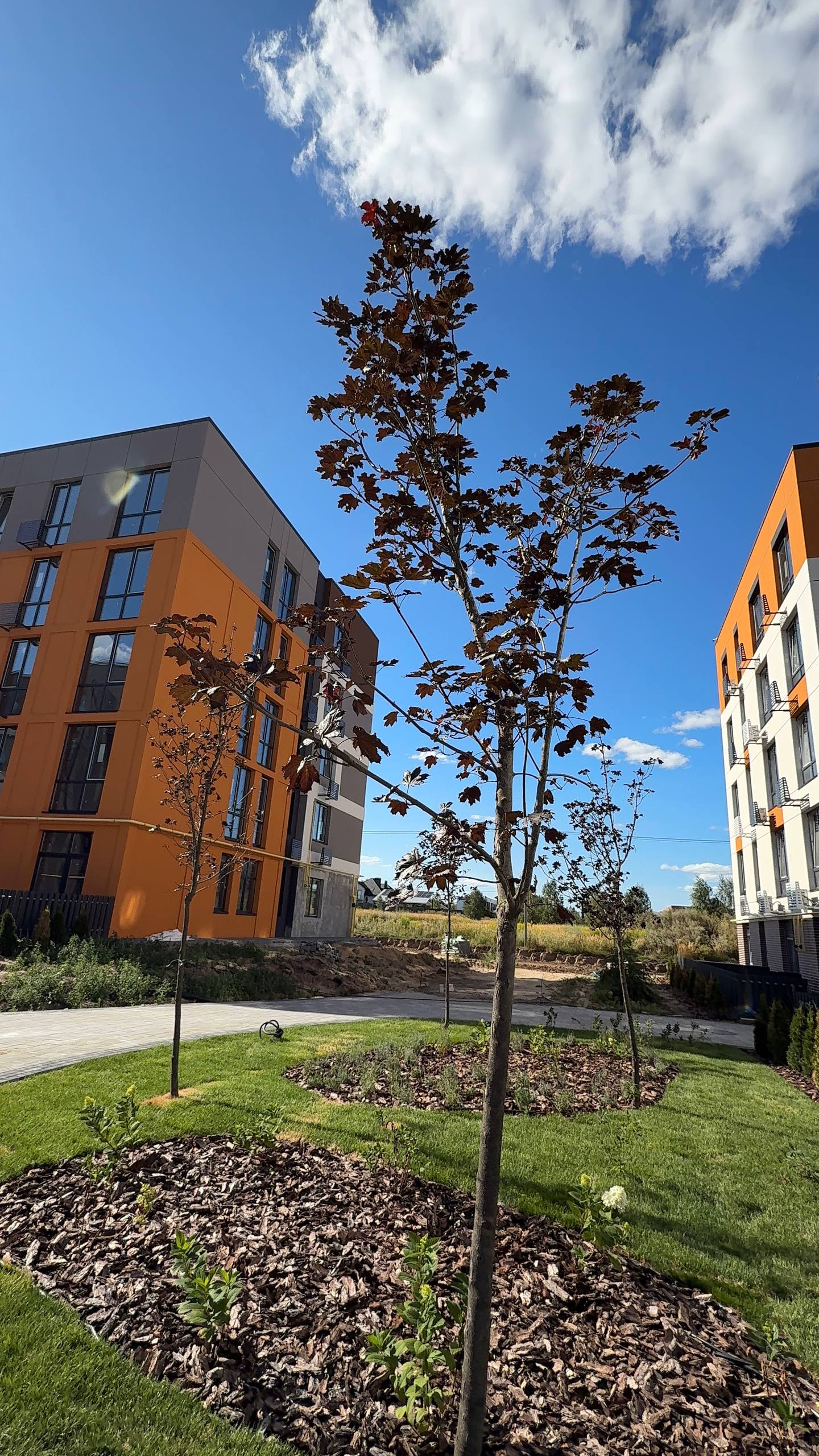 12.08.2026 – фото 4